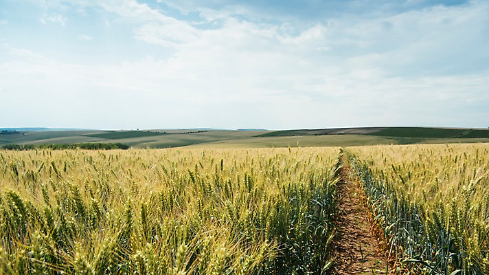 포토 JPG 주간 구름 해외풍경 유럽 여행 자연 하늘 풍경 초원 사람없음 야외 감성 체코 프라하 동유럽 모라비아 국내포토 자연요소 해외 나라 컨셉 생태계 파일형식