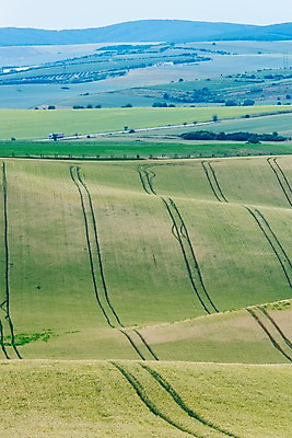 포토 JPG 주간 해외풍경 유럽 여행 자연 풍경 초원 사람없음 야외 감성 체코 프라하 동유럽 모라비아 국내포토 자연요소 해외 나라 컨셉 생태계 파일형식