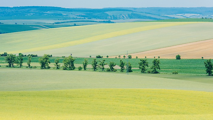 포토 JPG 주간 나무 해외풍경 유럽 여행 자연 풍경 초원 사람없음 야외 감성 체코 프라하 동유럽 모라비아 국내포토 자연요소 식물 해외 나라 컨셉 생태계 파일형식