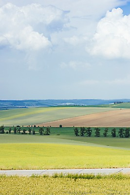 포토 JPG 주간 나무 해외풍경 유럽 여행 자연 풍경 초원 사람없음 야외 감성 체코 프라하 동유럽 모라비아 국내포토 자연요소 식물 해외 나라 컨셉 생태계 파일형식