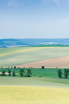 포토 JPG 주간 나무 해외풍경 유럽 여행 자연 풍경 초원 사람없음 야외 감성 체코 프라하 동유럽 모라비아 국내포토 자연요소 식물 해외 나라 컨셉 생태계 파일형식