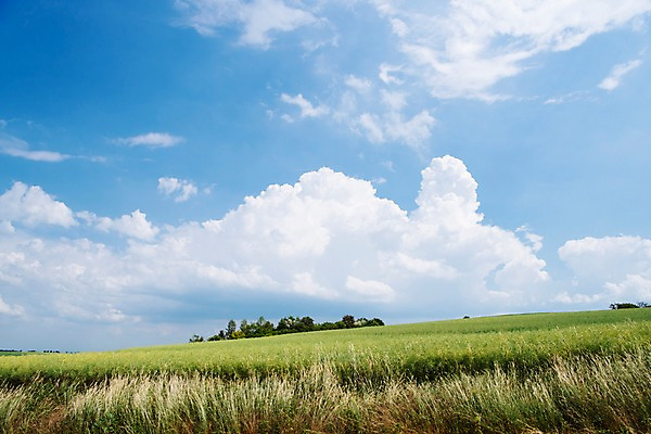 포토 JPG 주간 구름 해외풍경 유럽 여행 자연 하늘 풍경 초원 사람없음 야외 감성 체코 프라하 동유럽 모라비아 국내포토 자연요소 해외 나라 컨셉 생태계 파일형식
