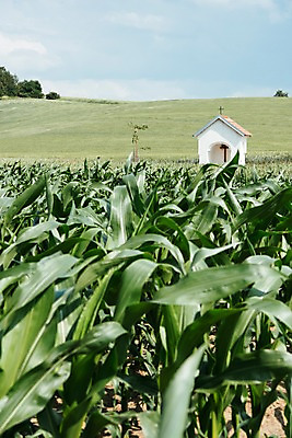 포토 JPG 주간 구름 해외풍경 유럽 여행 자연 하늘 풍경 초원 사람없음 야외 교회 감성 체코 프라하 동유럽 모라비아 국내포토 자연요소 해외 나라 컨셉 종교건축 건물 생태계 파일형식