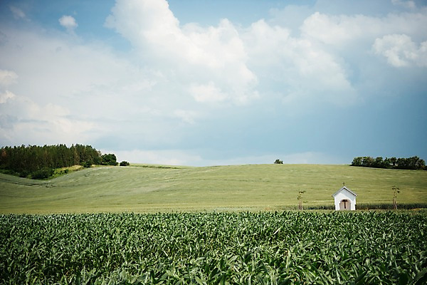 포토 JPG 주간 구름 해외풍경 유럽 여행 자연 하늘 풍경 초원 사람없음 야외 교회 감성 체코 프라하 동유럽 모라비아 국내포토 자연요소 해외 나라 컨셉 종교건축 건물 생태계 파일형식