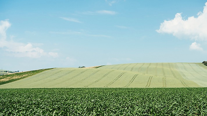 포토 JPG 주간 구름 해외풍경 유럽 여행 자연 하늘 풍경 초원 사람없음 야외 감성 체코 프라하 동유럽 모라비아 국내포토 자연요소 해외 나라 컨셉 생태계 파일형식