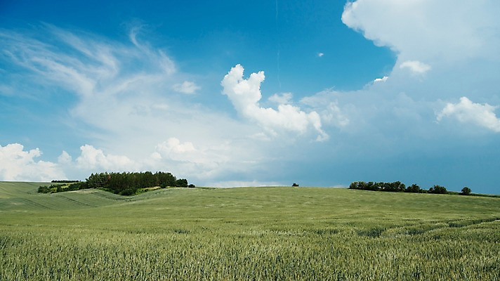 포토 JPG 주간 구름 해외풍경 유럽 여행 자연 하늘 풍경 초원 사람없음 야외 감성 체코 프라하 동유럽 모라비아 국내포토 자연요소 해외 나라 컨셉 생태계 파일형식