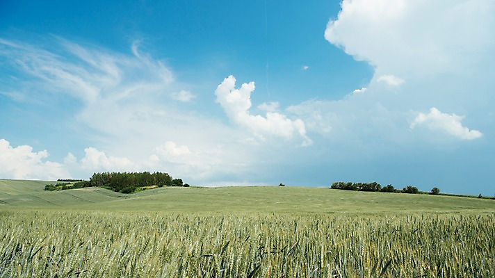 포토 JPG 주간 구름 해외풍경 유럽 여행 자연 하늘 풍경 초원 사람없음 야외 감성 체코 프라하 동유럽 모라비아 국내포토 자연요소 해외 나라 컨셉 생태계 파일형식