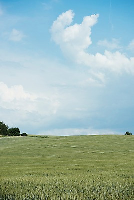 포토 JPG 주간 구름 해외풍경 유럽 여행 자연 하늘 풍경 초원 사람없음 야외 감성 체코 프라하 동유럽 모라비아 국내포토 자연요소 해외 나라 컨셉 생태계 파일형식