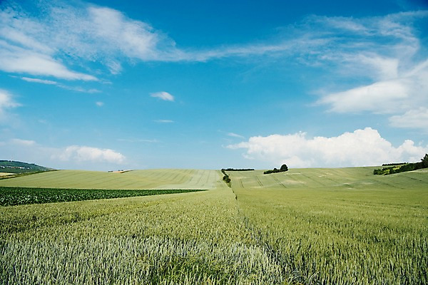 포토 JPG 주간 구름 해외풍경 유럽 여행 자연 하늘 풍경 초원 사람없음 야외 감성 체코 프라하 동유럽 모라비아 국내포토 자연요소 해외 나라 컨셉 생태계 파일형식