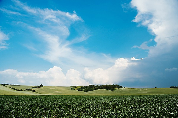 포토 JPG 주간 구름 해외풍경 유럽 여행 자연 하늘 풍경 초원 사람없음 야외 감성 체코 프라하 동유럽 모라비아 국내포토 자연요소 해외 나라 컨셉 생태계 파일형식