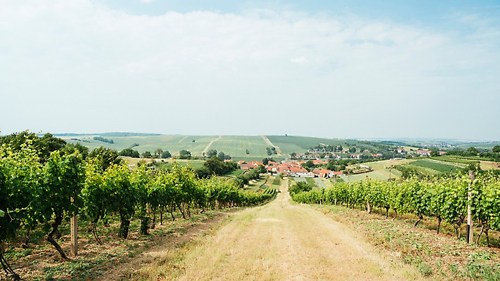 포토 JPG 주간 구름 해외풍경 유럽 여행 밭 자연 하늘 풍경 사람없음 야외 마을 감성 체코 프라하 동유럽 모라비아 국내포토 자연요소 해외 나라 컨셉 농업 생태계 파일형식
