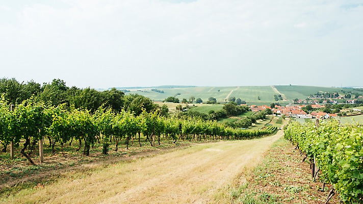 포토 JPG 주간 구름 해외풍경 유럽 여행 밭 자연 하늘 풍경 사람없음 야외 마을 감성 체코 프라하 동유럽 모라비아 국내포토 자연요소 해외 나라 컨셉 농업 생태계 파일형식