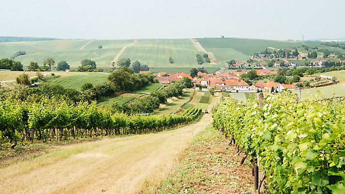 포토 JPG 주간 구름 해외풍경 유럽 여행 밭 자연 하늘 풍경 사람없음 야외 마을 감성 체코 프라하 동유럽 모라비아 국내포토 자연요소 해외 나라 컨셉 농업 생태계 파일형식