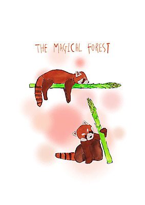 PSD 동물 엎드리기 두마리 채소 일러스트 붓터치 휴식 수채화 사람없음 잡기 아스파라거스 너구리 국내일러스트 컨셉 2 포유류 모션 파일형식