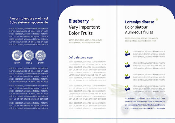 템플릿 표지디자인 북디자인 출판디자인 내지 리플렛 북커버 3단접지 그래프 팜플렛 사람없음 풀잎 블루베리 이미지템플릿 AI파일 잎 과일 풀_식물 파일형식 벡터