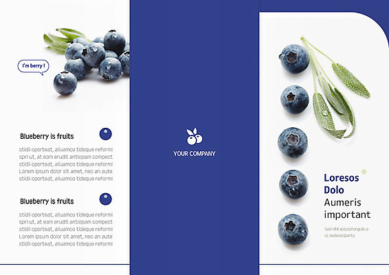 템플릿 표지디자인 북디자인 출판디자인 표지 리플렛 북커버 3단접지 팜플렛 사람없음 물방울 신선 풀잎 블루베리 일렬 이미지템플릿 AI파일 잎 과일 풀_식물 파일형식 벡터