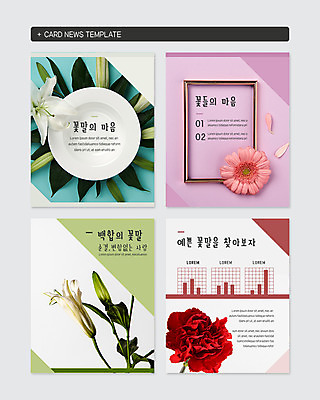 PSD 템플릿 접시 꽃잎 웹템플릿 그래프 프레임 국화 액자틀 사랑 사람없음 세트 사각형 다양 마음 백합 꽃말 찾기 카드뉴스 이미지템플릿 도형 식기 꽃 감정 다수 액자 모션 틀 파일형식