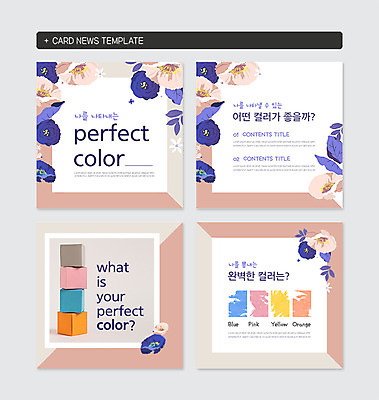 PSD 템플릿 꽃잎 꽃 상징 분홍색 컬러 웹템플릿 사람없음 파란색 세트 상자 컬러풀 노란색 쌓기 사각형 주황색 여러개 종이상자 카드뉴스 이미지템플릿 도형 식물 다수 모션 파일형식