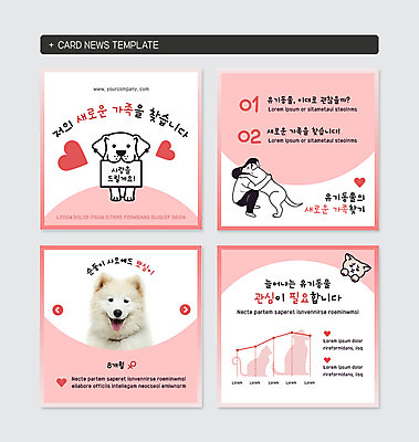 전신 PSD 동물 템플릿 여자 반려견 웹템플릿 여러마리 가족 안기 그래프 사랑 한명 사람 성인 반려동물 세트 사각형 고양이 팻말 하트 강아지 사모예드 웅크림 관심 물기포 반려 유기견 카드뉴스 필요 유기동물 이미지템플릿 모양 도형 1 감정 다수 컨셉 포유류 관계 모션 프레임 개 파일형식