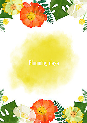 PSD 꽃 백그라운드 꽃백그라운드 일러스트 나뭇잎 수채화 사각프레임 사람없음 다양 풀잎 번짐 꽃프레임 몬스테라 열대꽃 열대잎 트로피컬아트 국내일러스트 식물 다수 잎 프레임 사각형 풀_식물 그림 파일형식 효과