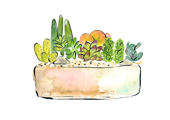 PSD 화분 일러스트 붓터치 수채화 선인장 사람없음 조약돌 다육식물 국내일러스트 식물 돌_바위 파일형식