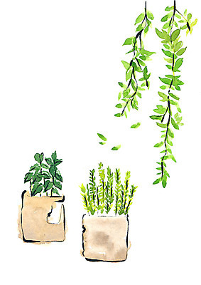 PSD 화분 일러스트 붓터치 수채화 사람없음 두개 나뭇가지 국내일러스트 나무 2 파일형식