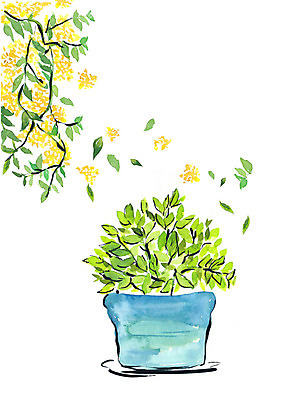 PSD 화분 일러스트 붓터치 나뭇잎 수채화 사람없음 꽃가지 흩날리기 국내일러스트 꽃 잎 모션 나뭇가지 파일형식