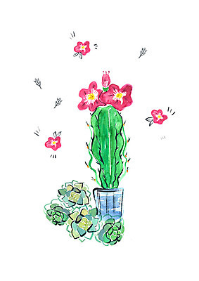 PSD 화분 일러스트 붓터치 수채화 선인장 사람없음 풀잎 선인장꽃 다육식물 국내일러스트 식물 꽃 잎 풀_식물 파일형식