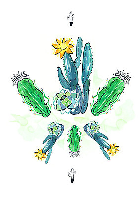 PSD 화분 일러스트 붓터치 수채화 선인장 사람없음 가시 선인장꽃 다육식물 국내일러스트 식물 꽃 파일형식