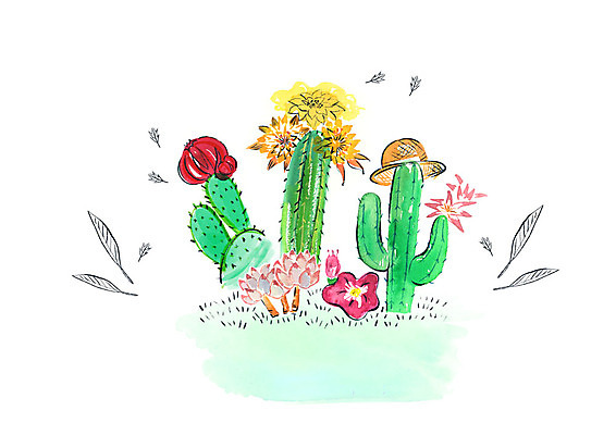 PSD 화분 일러스트 붓터치 나뭇잎 수채화 선인장 사람없음 선인장꽃 다육식물 챙모자 국내일러스트 식물 모자_잡화 꽃 잎 파일형식