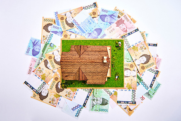 포토 JPG 스튜디오촬영 지폐 실내 근접촬영 잔디 사람없음 금융 하이앵글 모형 정원 원화 여러장 돈더미 목조주택 국내포토 식물 뷰포인트 다수 돈 내부 경제 파일형식 더미