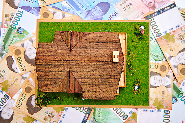 포토 JPG 스튜디오촬영 지폐 실내 근접촬영 잔디 사람없음 금융 하이앵글 모형 정원 원화 여러장 돈더미 목조주택 국내포토 식물 뷰포인트 다수 돈 내부 경제 파일형식 더미