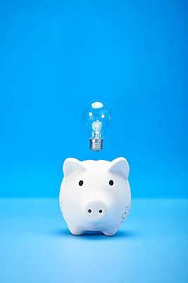 포토 JPG 스튜디오촬영 전구 실내 근접촬영 사람없음 금융 저축 돼지저금통 금융의날 국내포토 뷰포인트 내부 경제 저금통 파일형식 법정기념일