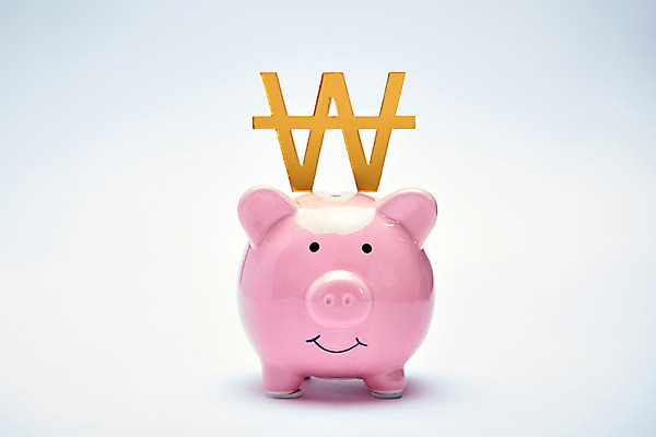 포토 JPG 스튜디오촬영 실내 근접촬영 사람없음 금융 저축 돼지저금통 원화 화폐기호 금융의날 국내포토 기호 뷰포인트 돈 내부 경제 저금통 화폐 파일형식 법정기념일