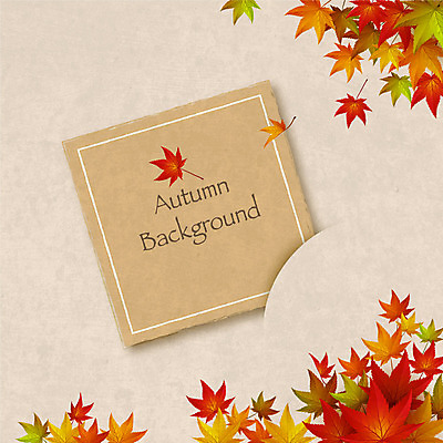 백그라운드 단풍 일러스트 사각프레임 프레임 사람없음 가을 가을배경 국내일러스트 AI파일 계절 잎 사각형 파일형식 벡터 가을_계절