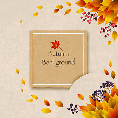 열매 백그라운드 단풍 일러스트 사각프레임 프레임 사람없음 가을 가을배경 국내일러스트 AI파일 식물 계절 잎 사각형 파일형식 벡터 가을_계절