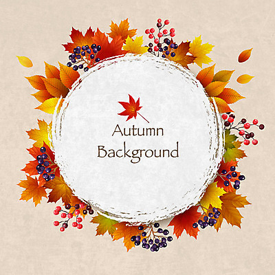 열매 백그라운드 단풍 일러스트 날리기 프레임 사람없음 가을 원형 원형프레임 동그란 가을배경 국내일러스트 AI파일 도형 식물 계절 잎 모션 파일형식 벡터 가을_계절