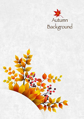 열매 백그라운드 단풍 일러스트 사람없음 가을 나뭇가지 가을배경 국내일러스트 AI파일 나무 식물 계절 잎 파일형식 벡터 가을_계절