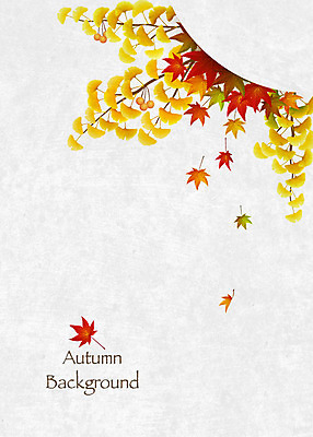 백그라운드 단풍 일러스트 사람없음 노란색 가을 은행잎 은행열매 가을배경 국내일러스트 AI파일 계절 열매 컬러 잎 파일형식 벡터 가을_계절