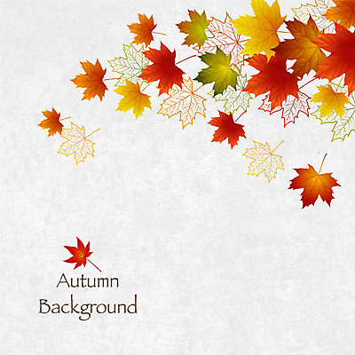 백그라운드 단풍 낙엽 일러스트 사람없음 여러개 가을 가을배경 국내일러스트 AI파일 계절 다수 잎 파일형식 벡터 가을_계절