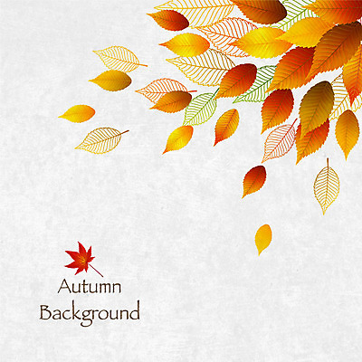 백그라운드 단풍 일러스트 날리기 사람없음 가을 가을배경 국내일러스트 AI파일 계절 잎 모션 파일형식 벡터 가을_계절