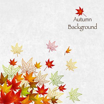 백그라운드 단풍 낙엽 일러스트 사람없음 컬러풀 여러개 가을 가을배경 국내일러스트 AI파일 계절 컬러 다수 잎 파일형식 벡터 가을_계절