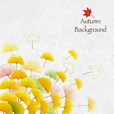 백그라운드 단풍 일러스트 사람없음 여러개 가을 은행잎 가을배경 국내일러스트 AI파일 계절 다수 잎 파일형식 벡터 가을_계절