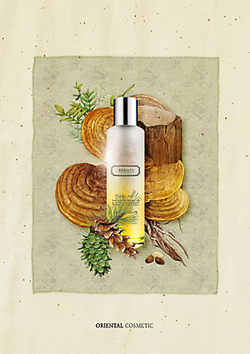 PSD 편집이미지 나뭇잎 사람없음 화장품 한의학 오리엔탈 한지 솔방울 솔잎 잣 나무밑둥 영지버섯 이미지편집 나무 종이 잎 의학 뷰티 버섯 견과류 파일형식