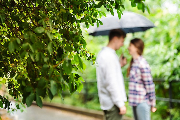포토 JPG 서양인 나무 커플 응시 공원 여자 남자 데이트 우산 들기 사람 상반신 20대 성인 두명 옆모습 아웃포커스 마주보기 산책로 비 국내포토 자연요소 외국인 식물 시선 공공시설 길 뷰포인트 관계 모션 날씨 촬영기법 청년 파일형식