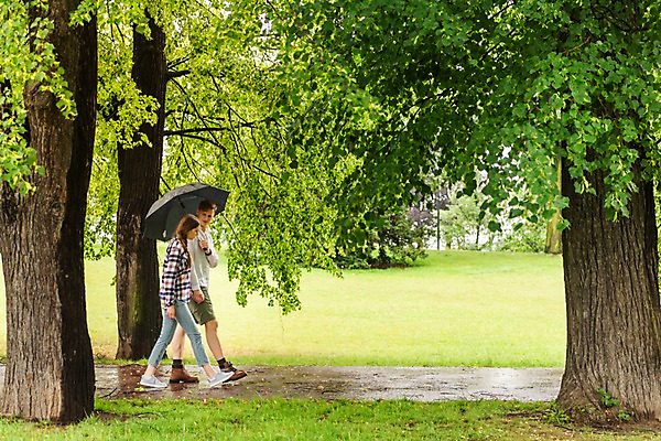포토 JPG 전신 서양인 나무 커플 응시 공원 여자 남자 데이트 우산 들기 사람 잔디 20대 성인 두명 옆모습 손잡기 산책 산책로 비 국내포토 자연요소 외국인 식물 시선 공공시설 길 뷰포인트 관계 모션 날씨 휴식 청년 파일형식
