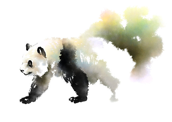 PSD 동물 한마리 일러스트 캘리그라피 붓터치 사람없음 판다 번짐 국내일러스트 1 곰 파일형식 효과