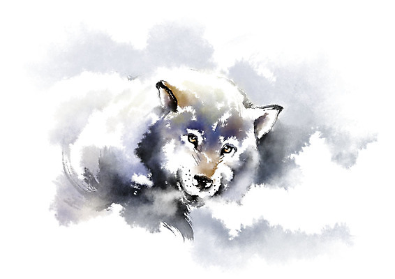 PSD 동물 한마리 응시 일러스트 캘리그라피 붓터치 사람없음 여우 번짐 국내일러스트 1 시선 포유류 파일형식 효과