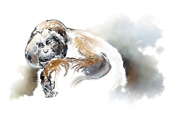 PSD 동물 한마리 일러스트 캘리그라피 붓터치 사람없음 원숭이 번짐 국내일러스트 1 포유류 파일형식 효과