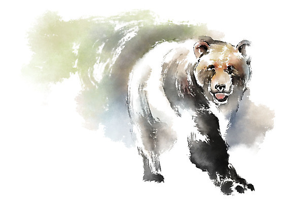 PSD 동물 한마리 응시 일러스트 캘리그라피 곰 붓터치 사람없음 번짐 국내일러스트 1 시선 포유류 파일형식 효과